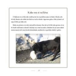 Resnične prigode gospoda Nera