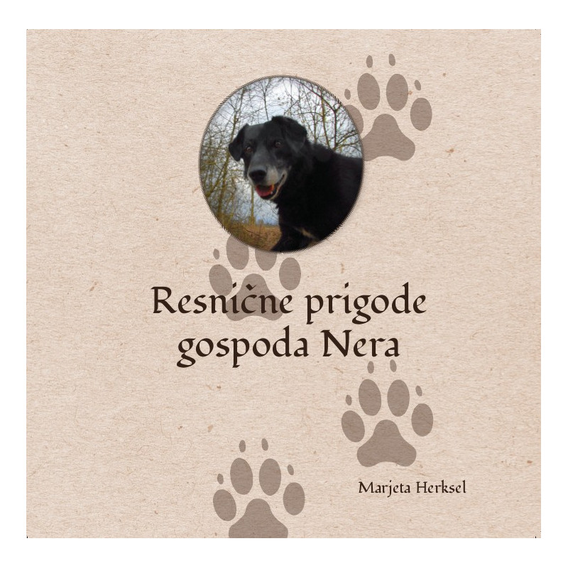 Resnične prigode gospoda Nera