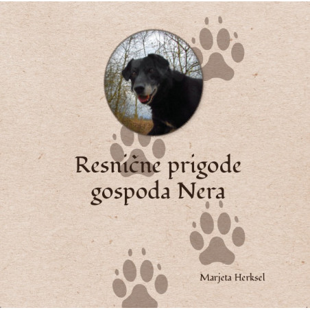 Resnične prigode gospoda Nera