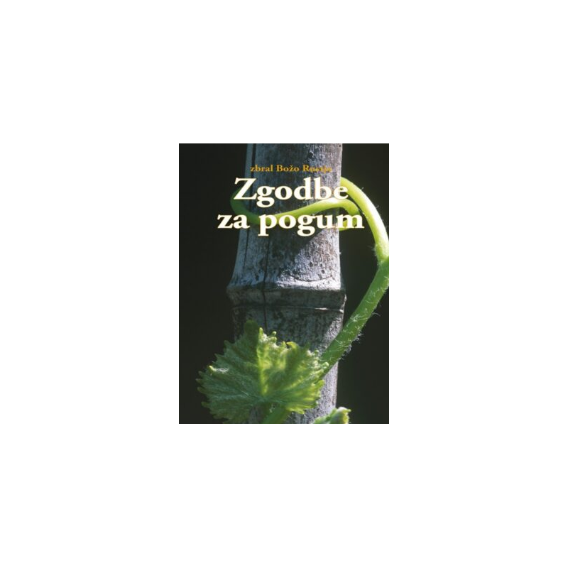 Zgodbe za pogum