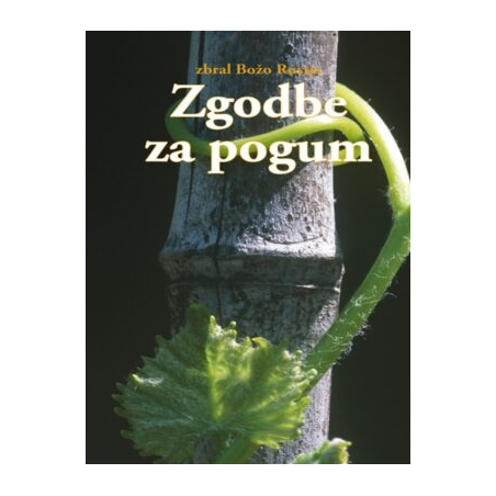 Zgodbe za pogum